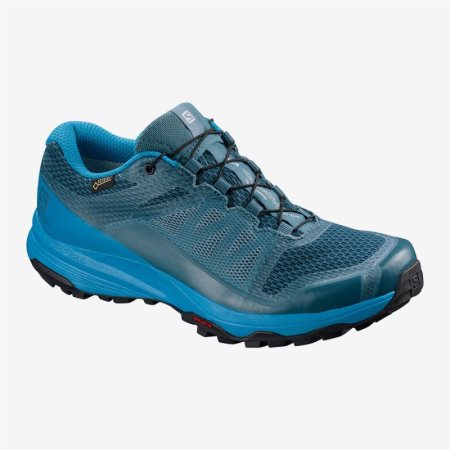 Zapatillas Trail Running Salomon XA DISCOVERY GTX W Mujer Azules (ES-CFGB)